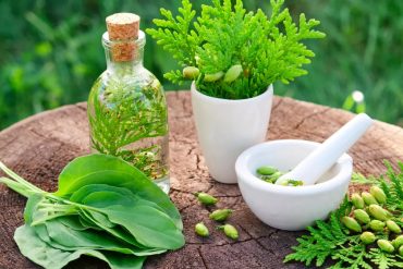 Pourquoi le microbiote est-il si important et qu’est-ce que c’est ?